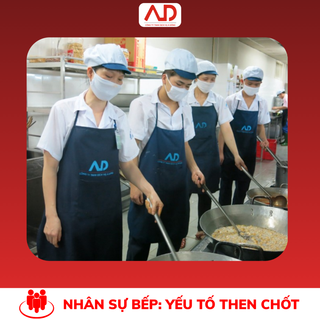 Nhân sự bếp: Yếu tố then chốt đảm bảo chất lượng suất ăn