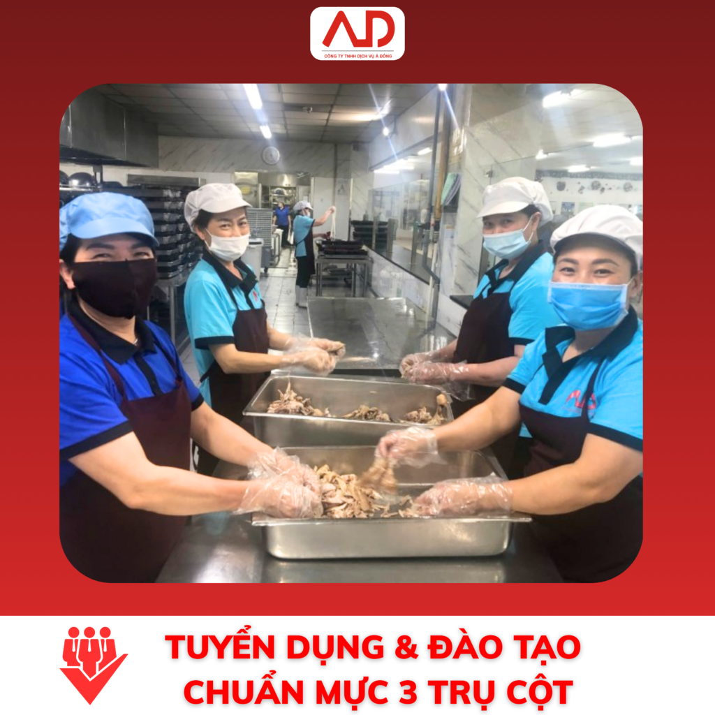 Tiêu chuẩn tuyển dụng & đào tạo: Kỷ luật và kỹ năng